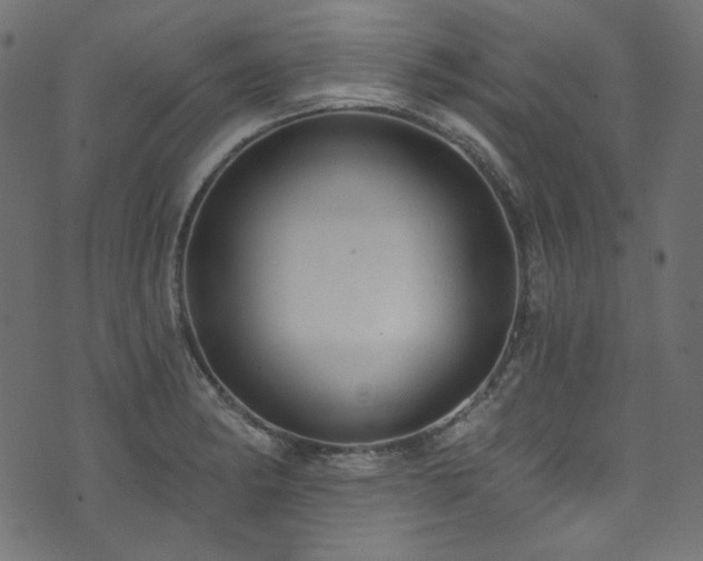 X0000074341182200608251343