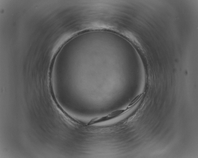 X0000074341183200608251343