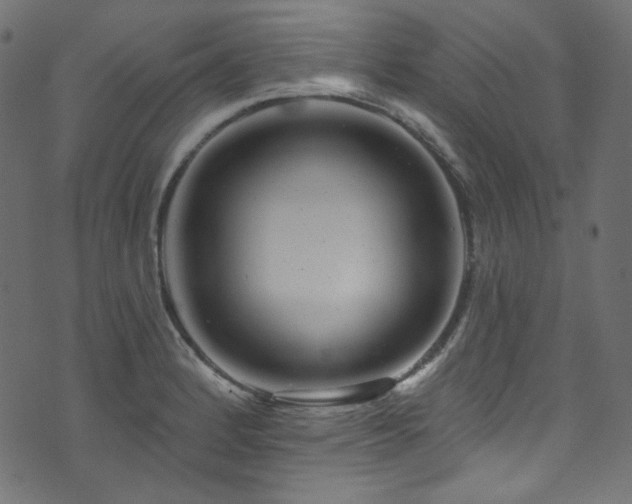 X0000074341184200608251343