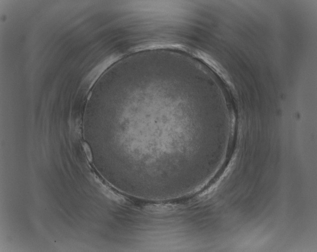 X0000074341185200608251343