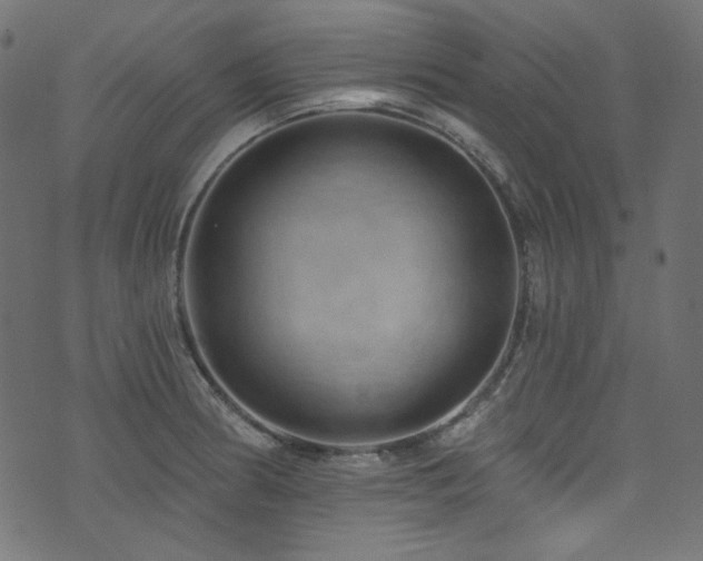 X0000074341186200608251343