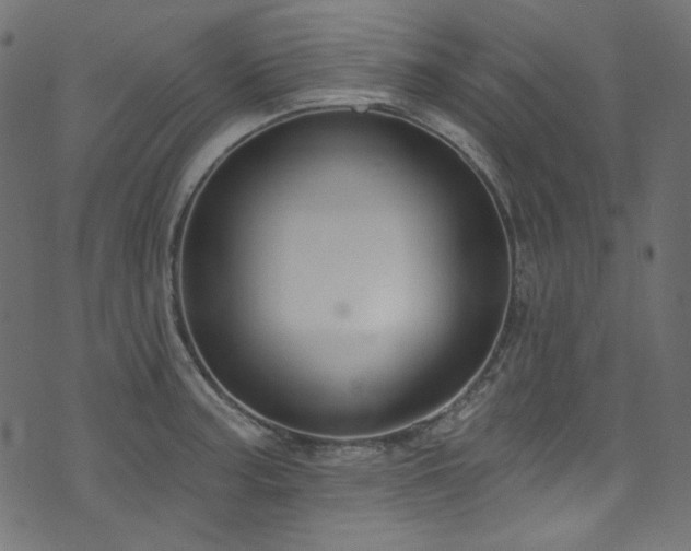 X0000074341187200608251343