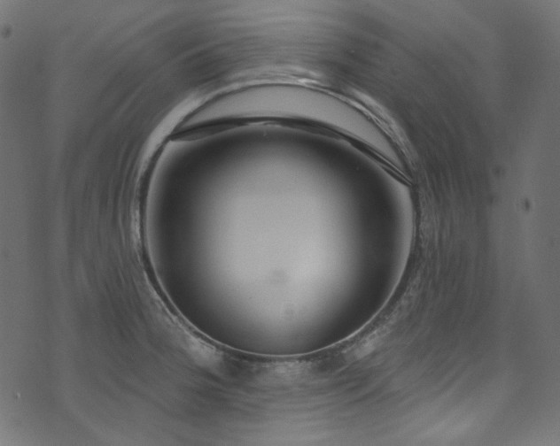 X0000074341188200608251343