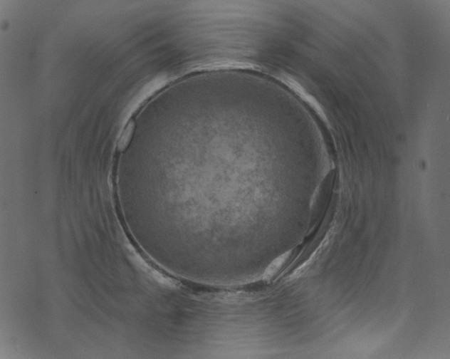 X0000074341189200608251343