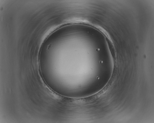 X0000074341191200608251343