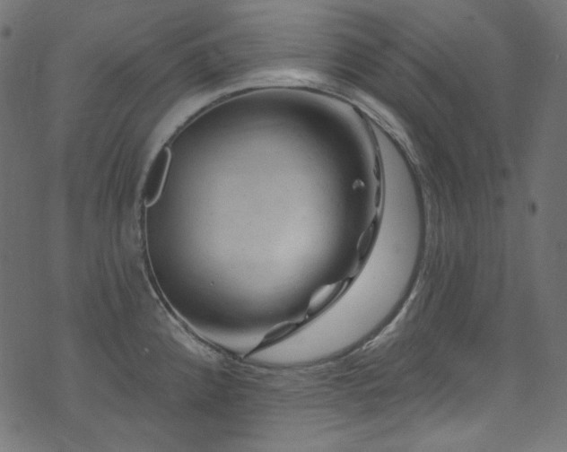 X0000074341192200608251343