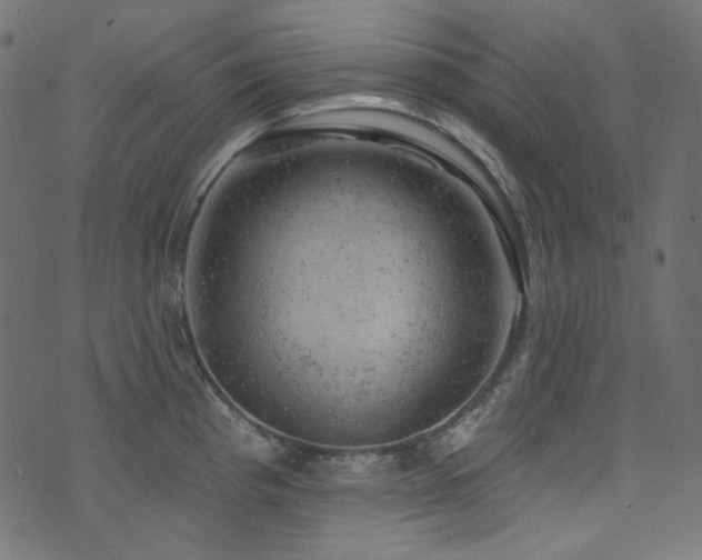 X0000074341193200608251343