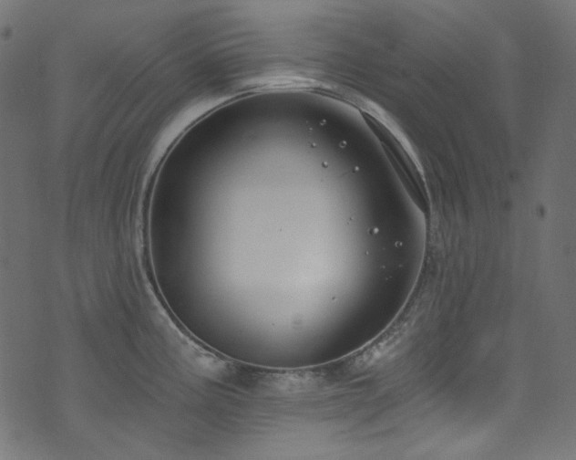 X0000074341195200608251343