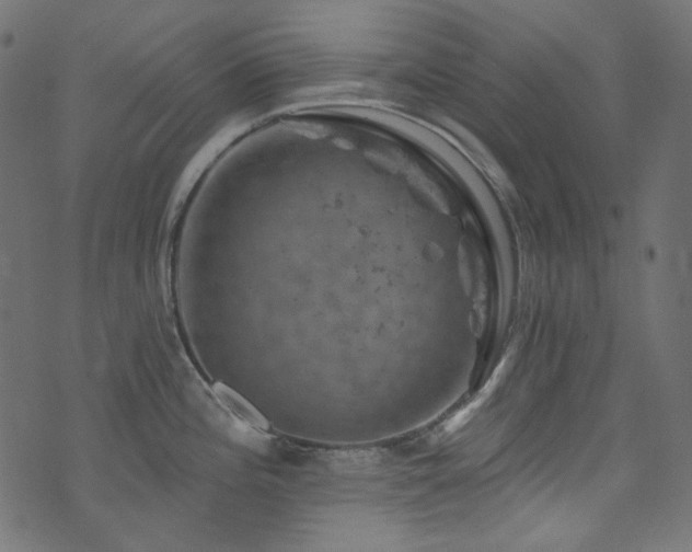 X0000074341196200608251343