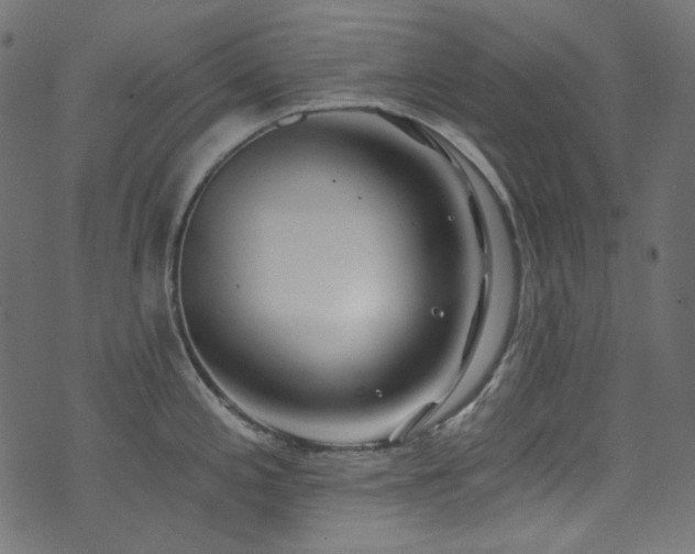 X0000074341197200608251343