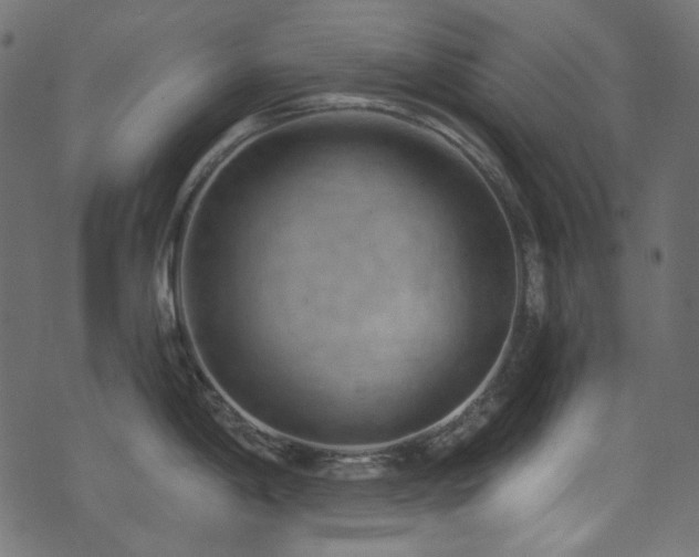 X0000074341198200608251343