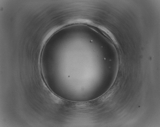 X0000074341199200608251343