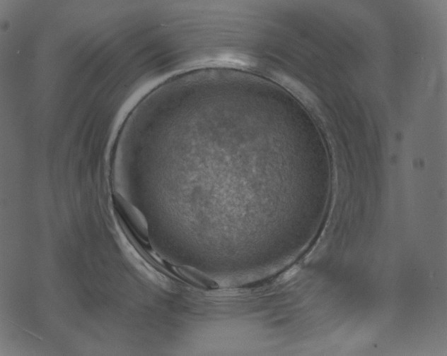 X0000074341200200608251343