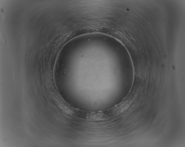 X0000074341201200608251342