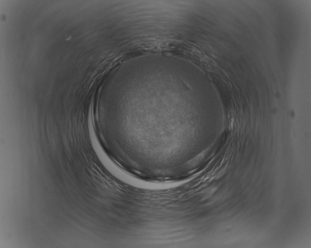 X0000074341202200608251342