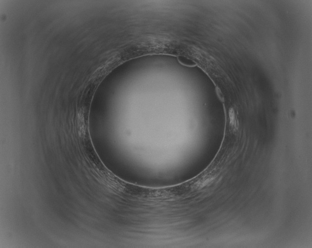 X0000074341203200608251342