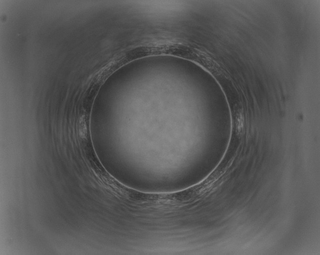 X0000074341204200608251342