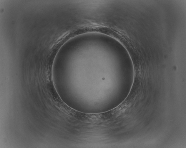 X0000074341205200608251342