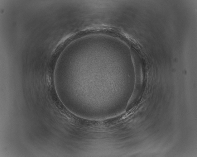 X0000074341206200608251342