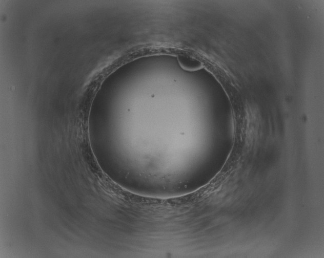 X0000074341207200608251342