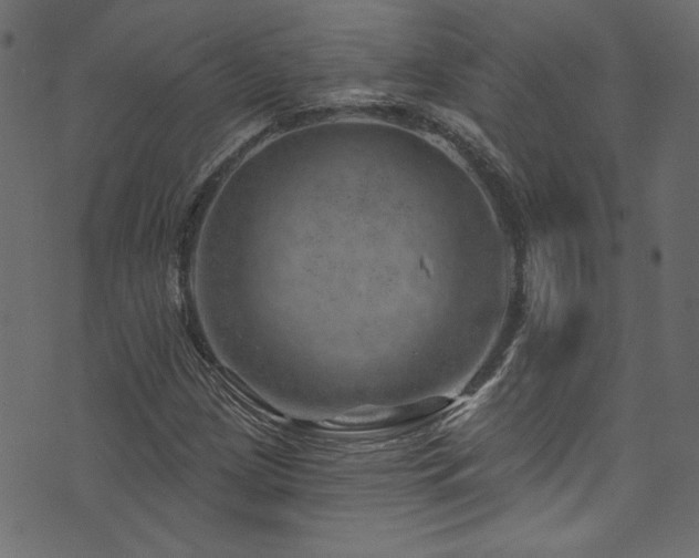 X0000074341209200608251342