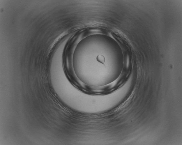 X0000074341210200608251342