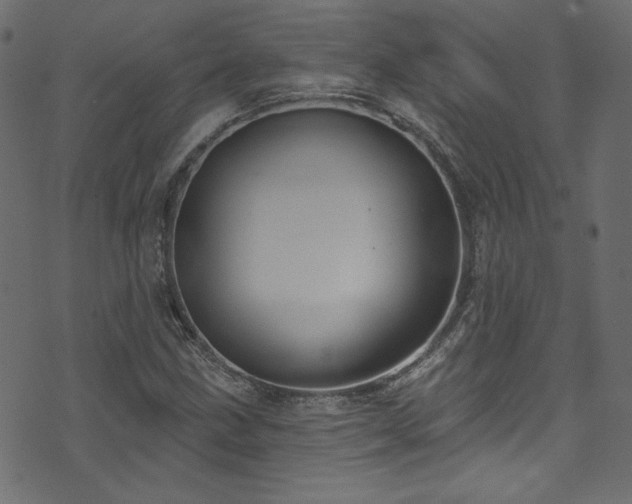 X0000074341211200608251342