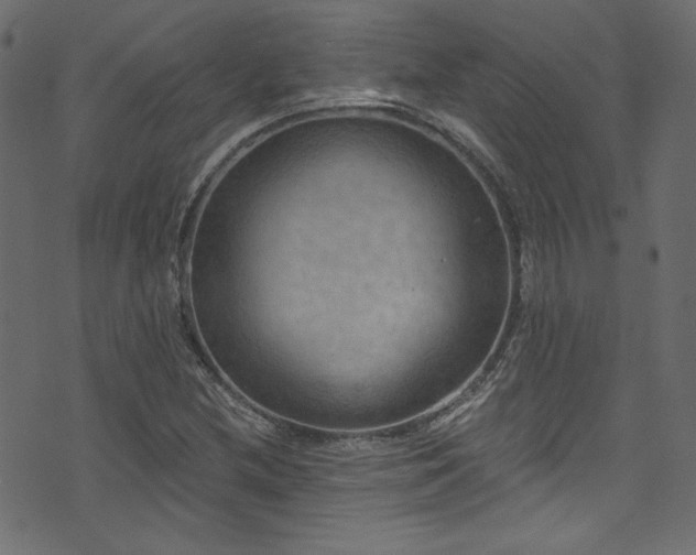 X0000074341212200608251342