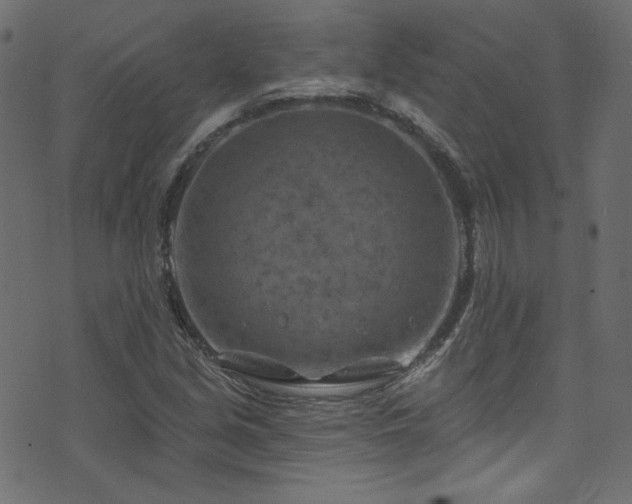 X0000074341213200608251342