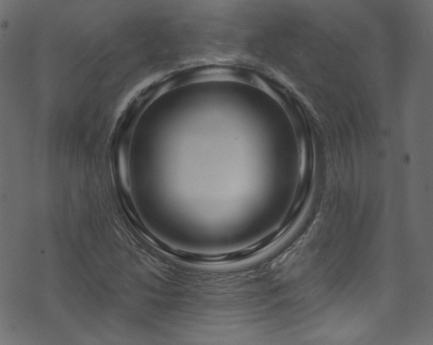 X0000074341214200608251342