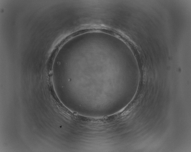 X0000074341215200608251342