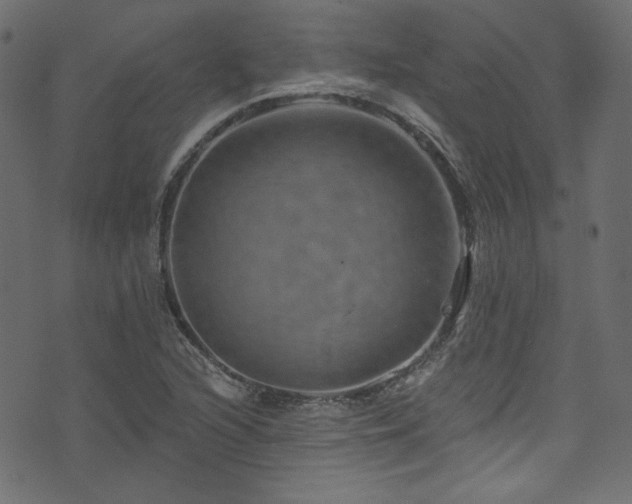 X0000074341216200608251342