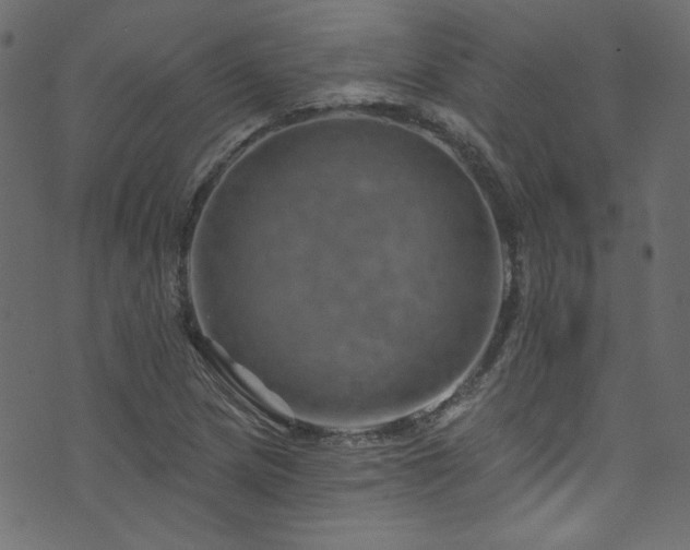 X0000074341217200608251342