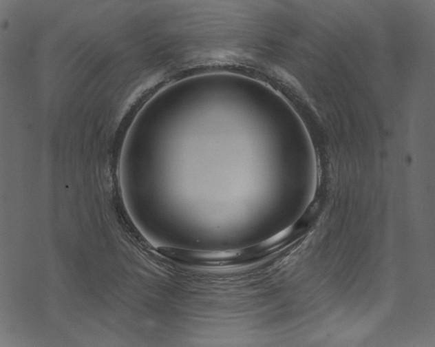 X0000074341218200608251342