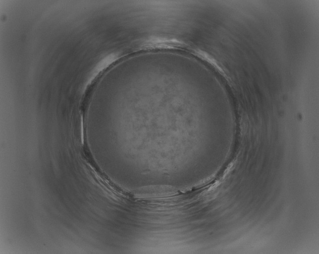 X0000074341219200608251342