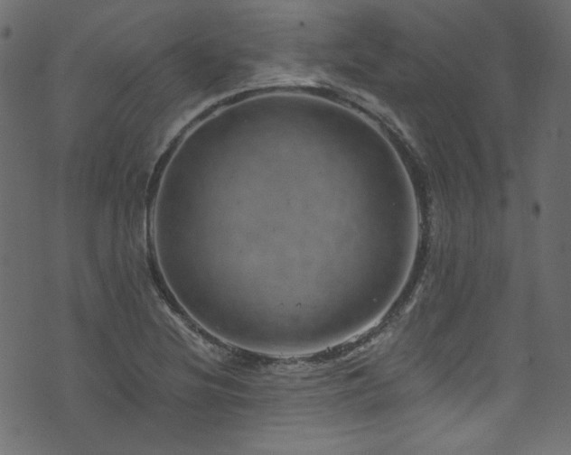 X0000074341220200608251342