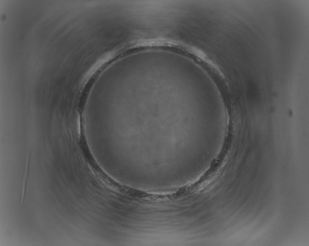 X0000074341221200608251342