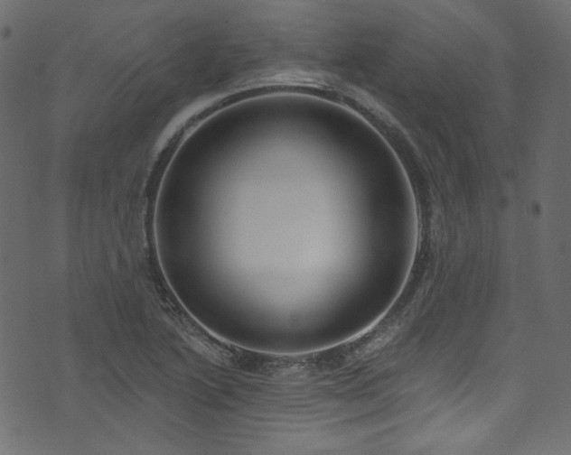 X0000074341222200608251342