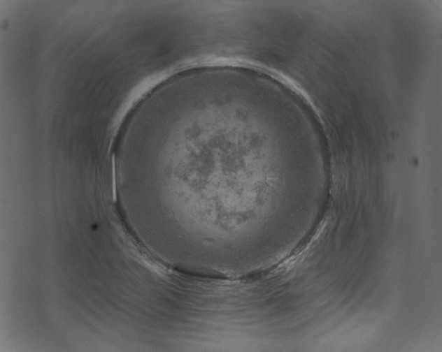 X0000074341223200608251342