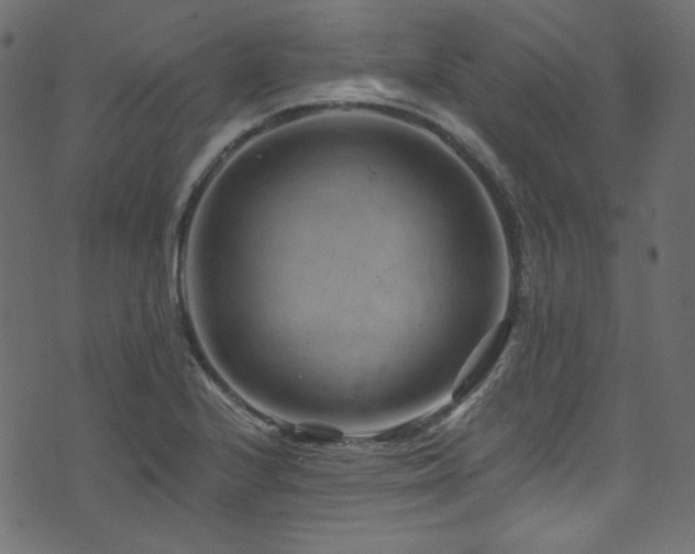 X0000074341224200608251342