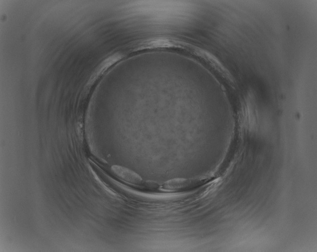 X0000074341225200608251342