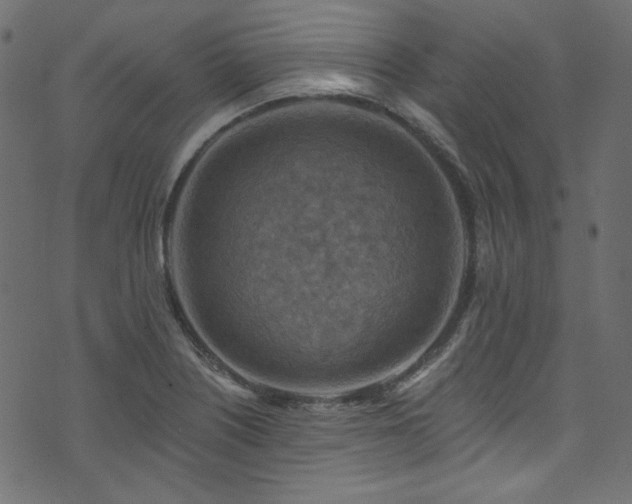 X0000074341226200608251342