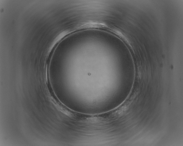 X0000074341227200608251343