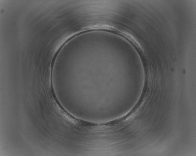 X0000074341228200608251343