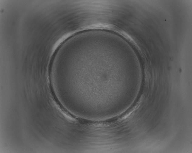 X0000074341230200608251343