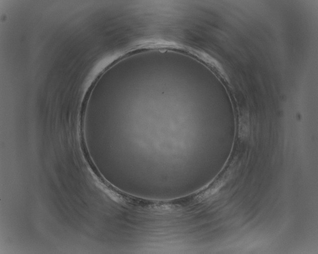 X0000074341231200608251343