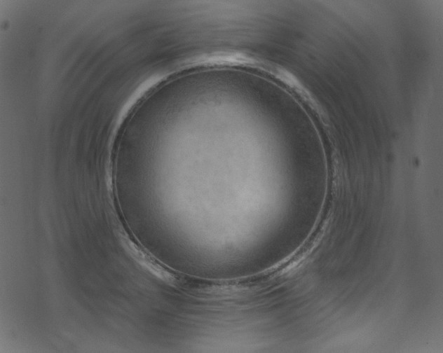 X0000074341232200608251343