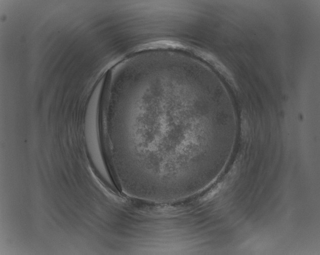 X0000074341233200608251343