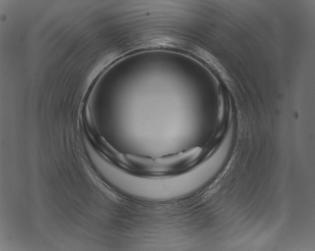 X0000074341234200608251343