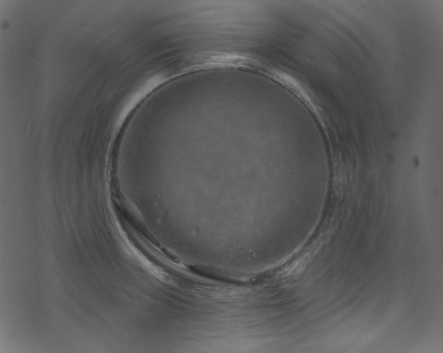 X0000074341235200608251343